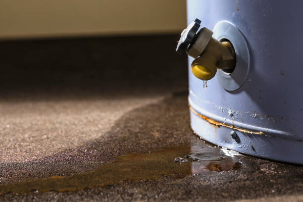 Best Commercial water damage restoration  in Marquette, MI