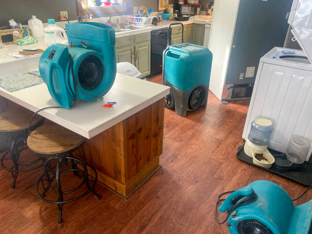 Best Fire Damage Restoration  in Marquette, MI