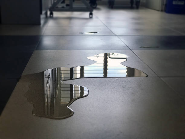Best Water damage contractors near me  in Marquette, MI